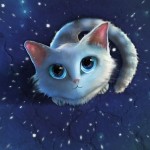Catty Chat