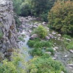 Світлана Сухова