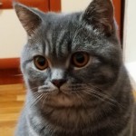 Валентина Хабел