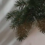 Пилип Василина
