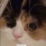 Марина Власюк