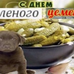 Михаил Зубенко