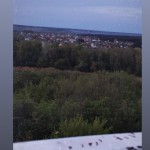 Олена Мальцева