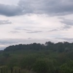 Вова Затока