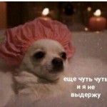 Анастасія Кравець