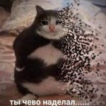 Микита Козар