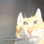 Дар'яна Полуденна