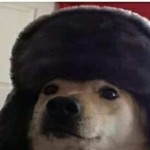 Денис Петрина