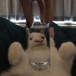 Дар'я Коробка