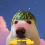 Богдан Дудолад