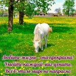 Ксенія Киркач