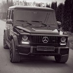Максим Дзяма