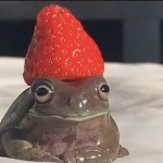 Валерія Шепеленко