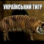 Павло Меша