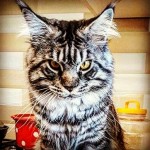 Илья Бистров