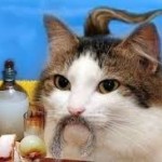 Олександр Котлінський