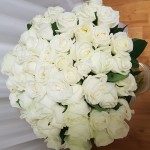 Анжеліка Толокольнікова