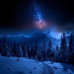 Анна Шпак