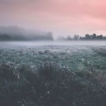 Валерія Старосільська