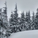 Любомир Ісальський