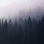 Вероніка Татусько