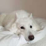 Катерина Махінько