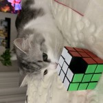 Олег Кринциглов