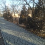 Анастасія Білокрис