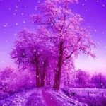 Диана Стаканова