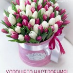 Валерія Кубаренко