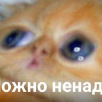 Никита Корнюков