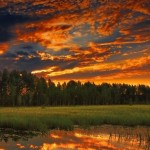 Александр Гребеник