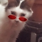 Ева Кабак