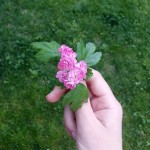 Софія Листопадова