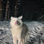 Дарiя Данилюк