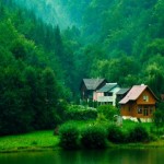 Емілія Білоус