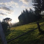 Марія Тарновська