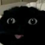 Юля Білан