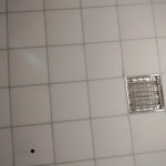 0000 0000