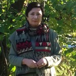 Олена Пашетнєва