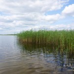 сергій чирак