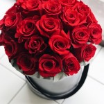 Аліна Любович