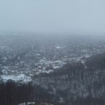 Віолетта Захарук