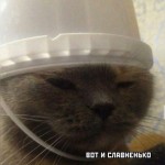 Влад Коліса