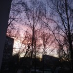 Джульетта Кот